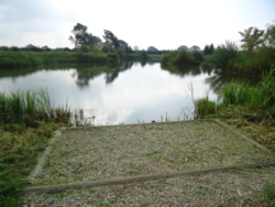 Manor Carp peg 4